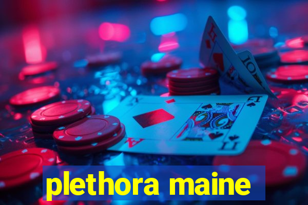 plethora maine