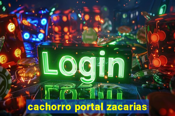 cachorro portal zacarias