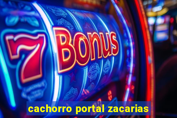 cachorro portal zacarias