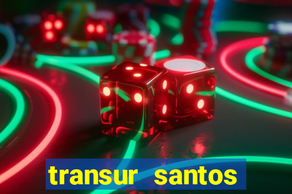 transur santos dumont x juiz de fora 2024