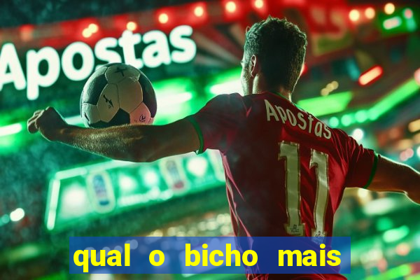 qual o bicho mais velho da loteria dos sonhos