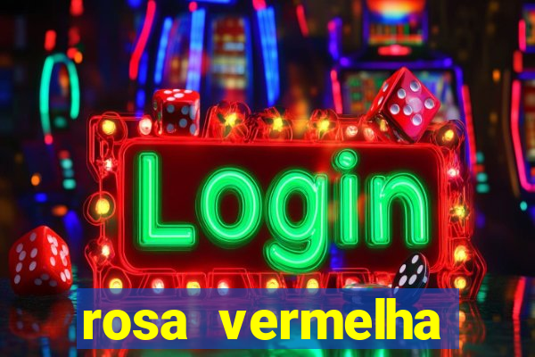 rosa vermelha (letra e cifra)