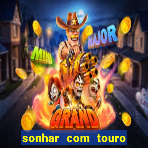 sonhar com touro bravo no mundo espiritual