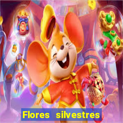 Flores silvestres brasileiras 25