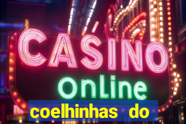 coelhinhas do brasil site