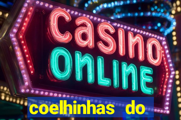 coelhinhas do brasil site