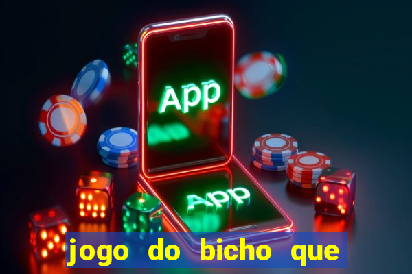 jogo do bicho que paga no pix