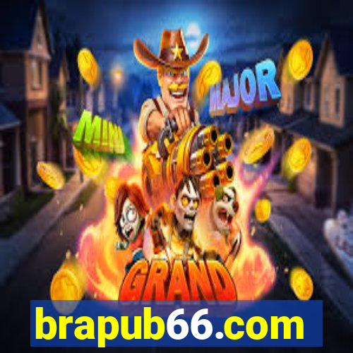 brapub66.com