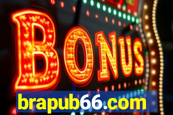 brapub66.com