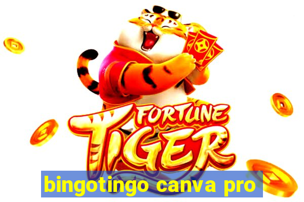 bingotingo canva pro