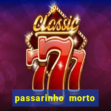 passarinho morto significado espiritual