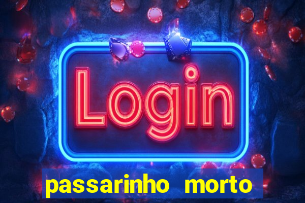 passarinho morto significado espiritual