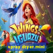 spray dryer mini