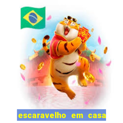 escaravelho em casa significado espiritual