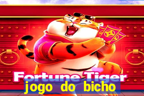 jogo do bicho tipos de apostas