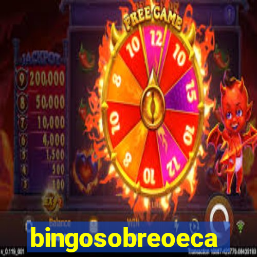 bingosobreoeca