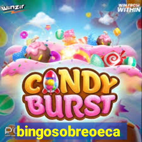 bingosobreoeca