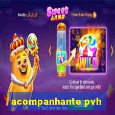 acompanhante pvh