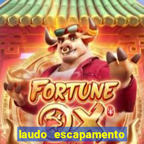 laudo escapamento fortuna pdf