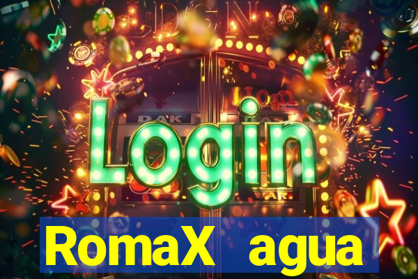 RomaX agua sanitaria fispq agua sanitaria romax