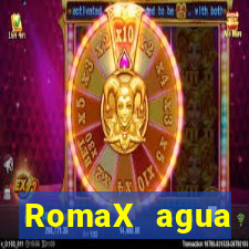 RomaX agua sanitaria fispq agua sanitaria romax