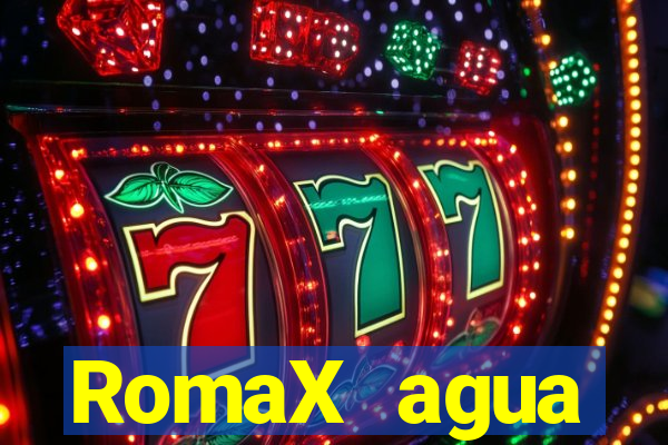 RomaX agua sanitaria fispq agua sanitaria romax