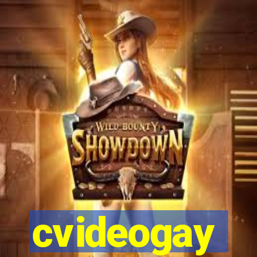 cvideogay