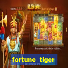 fortune tiger source code