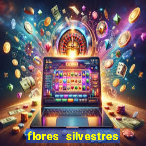 flores silvestres desbravadores desbravadores 25 flores silvestres e seus nomes