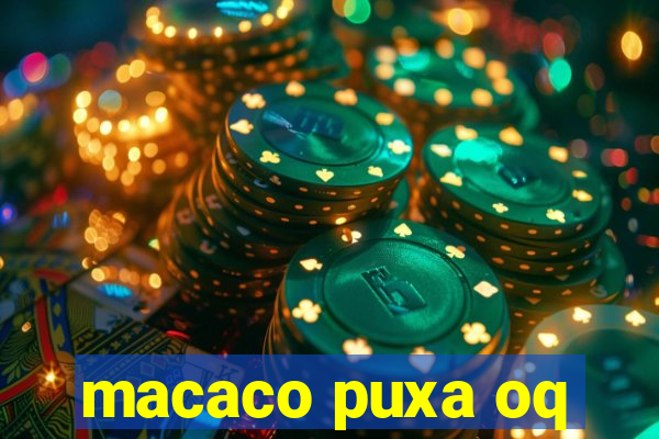 macaco puxa oq