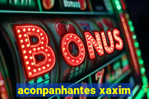 aconpanhantes xaxim