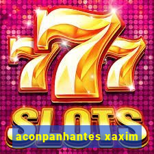 aconpanhantes xaxim