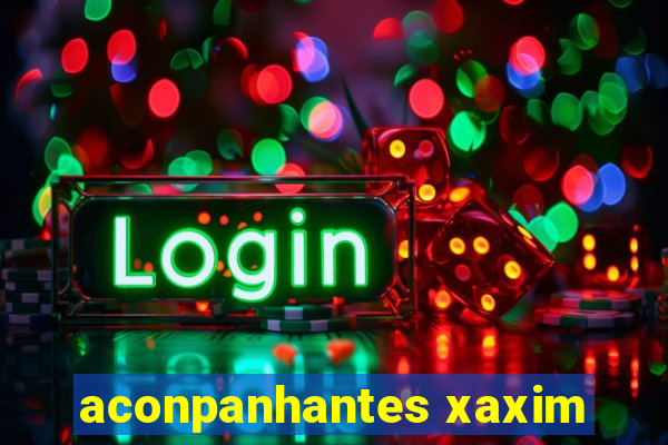 aconpanhantes xaxim