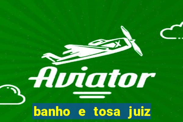 banho e tosa juiz de fora