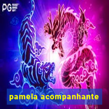 pamela acompanhante