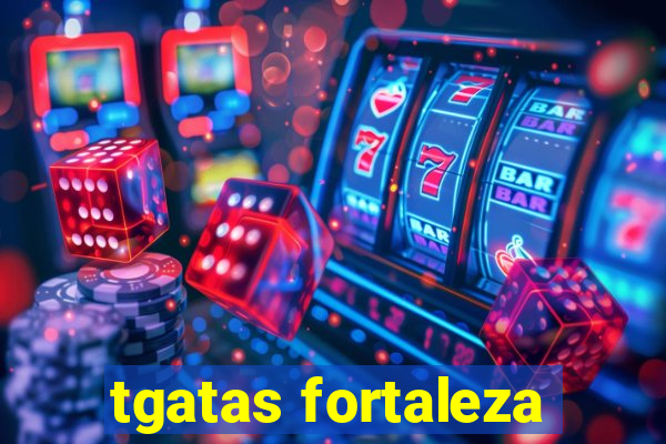 tgatas fortaleza