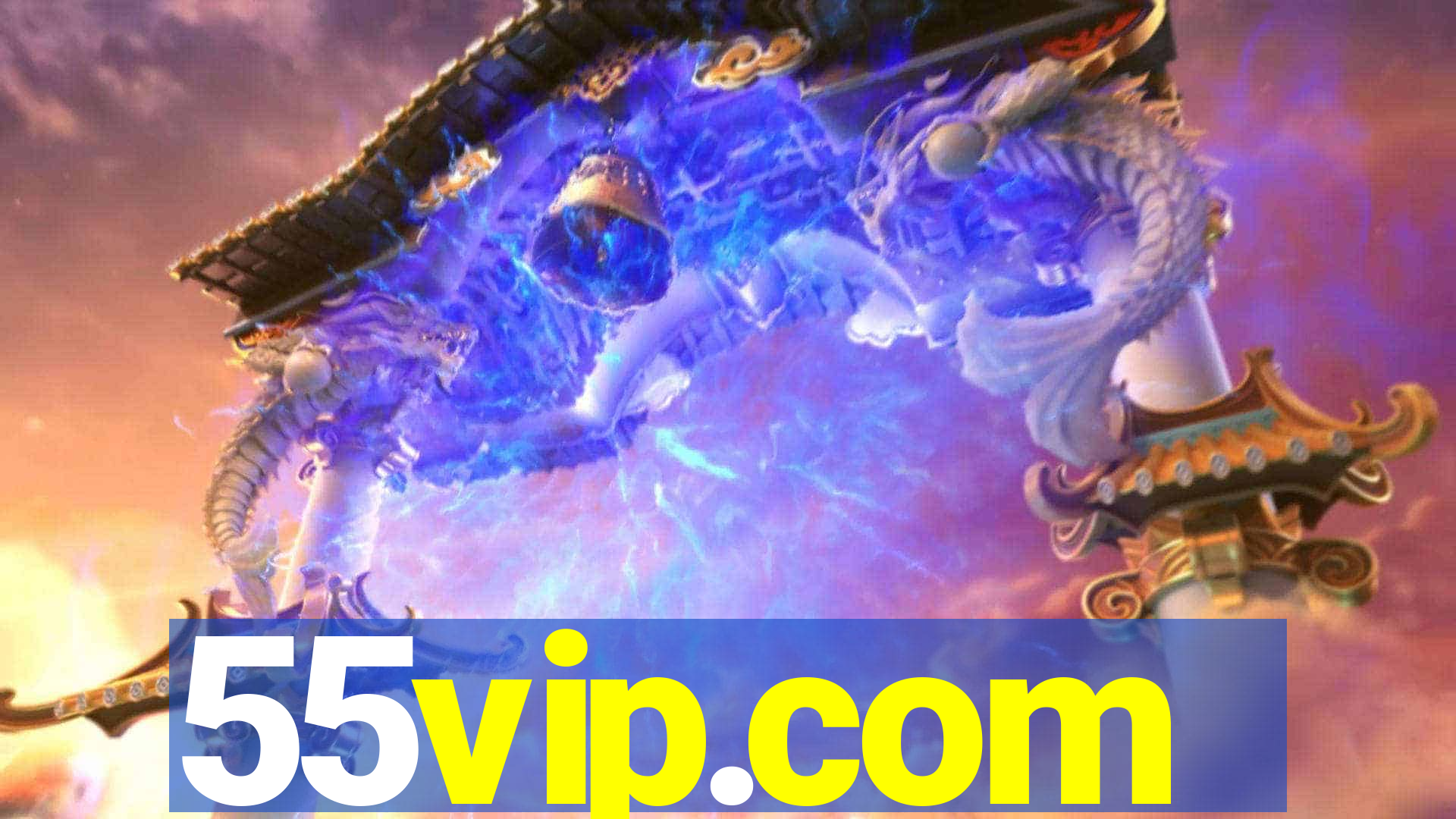 55vip.com