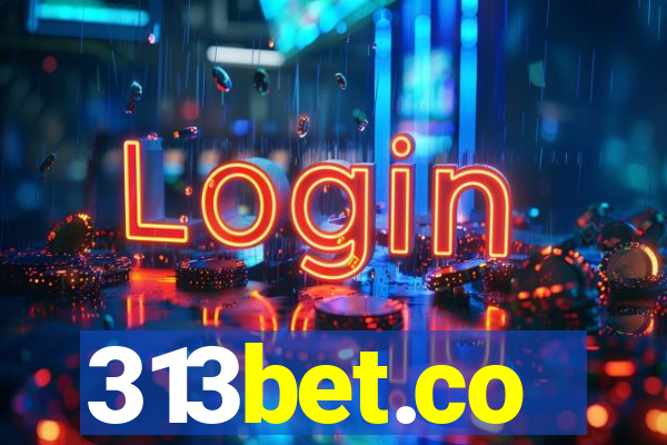 313bet.co