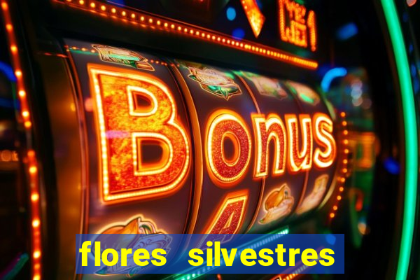 flores silvestres desbravadores desbravadores 25