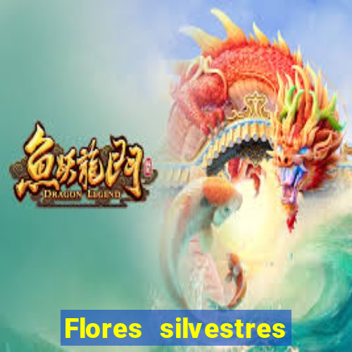 Flores silvestres brasileiras brasileiras flores silvestres nomes e imagens