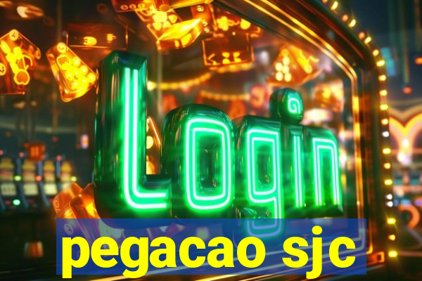 pegacao sjc