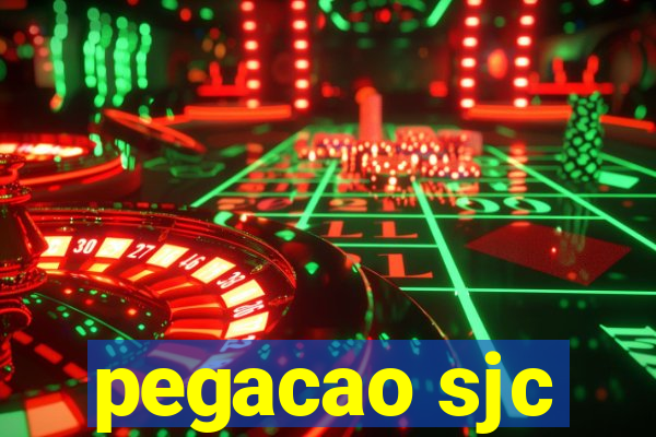 pegacao sjc