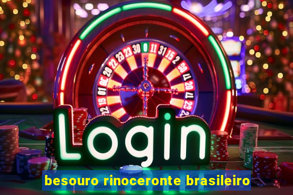 besouro rinoceronte brasileiro