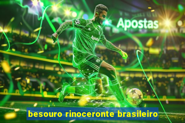 besouro rinoceronte brasileiro