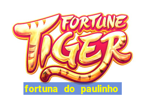 fortuna do paulinho do roupa nova