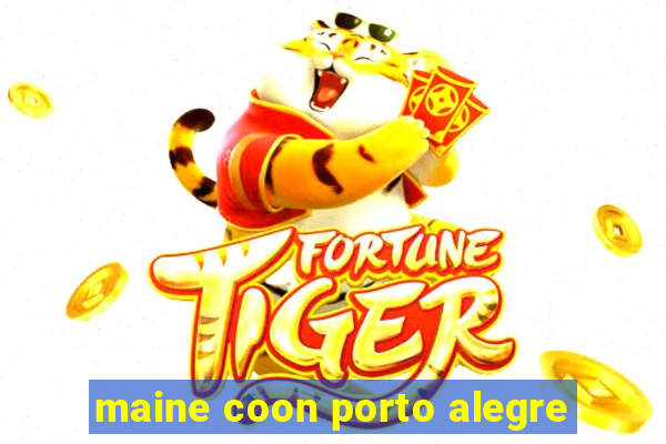 maine coon porto alegre