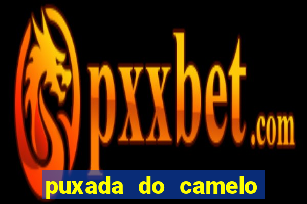 puxada do camelo no jogo do bicho