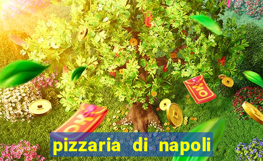 pizzaria di napoli lins sp