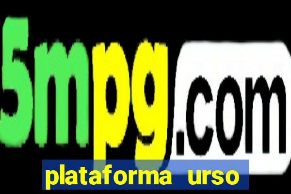 plataforma urso polar 777