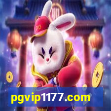 pgvip1177.com